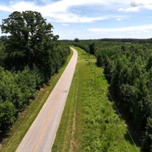 Photo #18 of Off  Johnson Farm Road, Kenly, NC 130.1 acres
