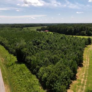 Photo #19 of Off  Johnson Farm Road, Kenly, NC 130.1 acres