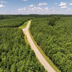 Photo #21 of Off  Johnson Farm Road, Kenly, NC 130.1 acres