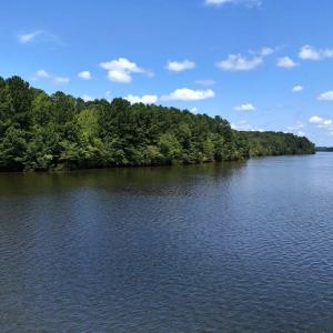 Photo #22 of Off  Johnson Farm Road, Kenly, NC 130.1 acres