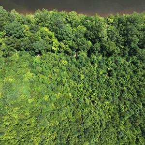 Photo #25 of Off  Johnson Farm Road, Kenly, NC 130.1 acres