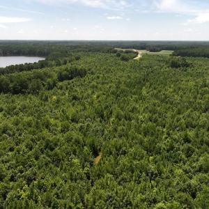 Photo #26 of Off  Johnson Farm Road, Kenly, NC 130.1 acres