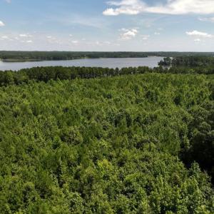 Photo #30 of Off  Johnson Farm Road, Kenly, NC 130.1 acres