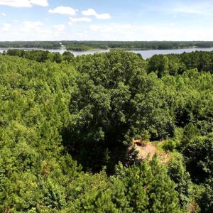 Photo #31 of Off  Johnson Farm Road, Kenly, NC 130.1 acres