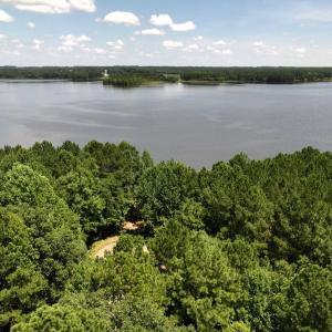 Photo #33 of Off  Johnson Farm Road, Kenly, NC 130.1 acres