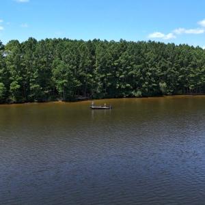Photo #34 of Off  Johnson Farm Road, Kenly, NC 130.1 acres