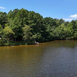 Photo #35 of Off  Johnson Farm Road, Kenly, NC 130.1 acres