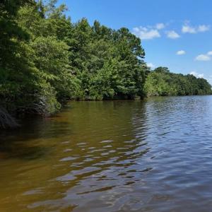 Photo #36 of Off  Johnson Farm Road, Kenly, NC 130.1 acres