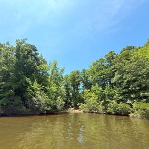 Photo #37 of Off  Johnson Farm Road, Kenly, NC 130.1 acres