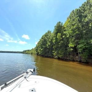 Photo #38 of Off  Johnson Farm Road, Kenly, NC 130.1 acres