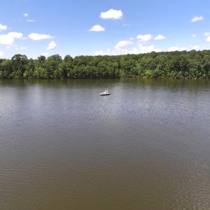 Photo #39 of Off  Johnson Farm Road, Kenly, NC 130.1 acres