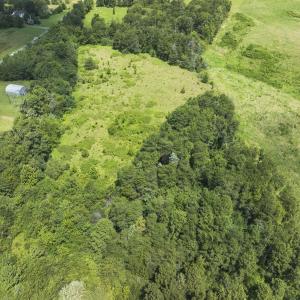 Photo #5 of 6175 NC Hwy 86S, Yanceyville, NC 4.2 acres