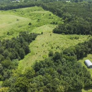 Photo #6 of 6175 NC Hwy 86S, Yanceyville, NC 4.2 acres
