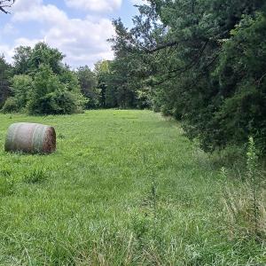 Photo #7 of 6175 NC Hwy 86S, Yanceyville, NC 4.2 acres
