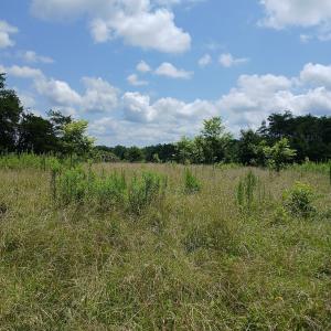 Photo #10 of 6175 NC Hwy 86S, Yanceyville, NC 4.2 acres