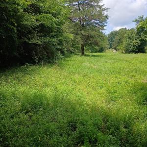 Photo #11 of 6175 NC Hwy 86S, Yanceyville, NC 4.2 acres