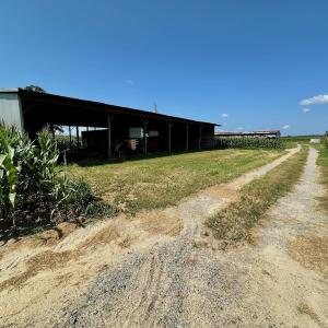 Photo #10 of Off Savage Rd, Corapeak, NC 151.0 acres