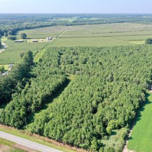 Photo #13 of Off Savage Rd, Corapeak, NC 151.0 acres