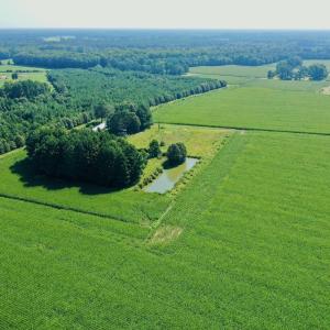 Photo #15 of Off Savage Rd, Corapeak, NC 151.0 acres