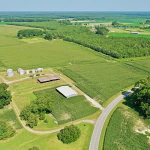 Photo #16 of Off Savage Rd, Corapeak, NC 151.0 acres
