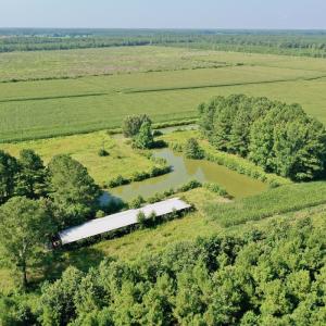 Photo #17 of Off Savage Rd, Corapeak, NC 151.0 acres