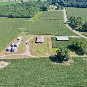 Photo #18 of Off Savage Rd, Corapeak, NC 151.0 acres