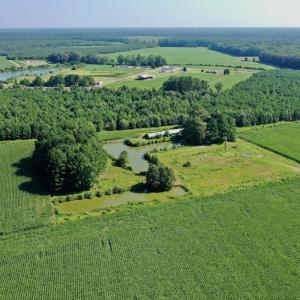 Photo #19 of Off Savage Rd, Corapeak, NC 151.0 acres