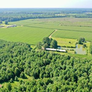 Photo #21 of Off Savage Rd, Corapeak, NC 151.0 acres