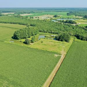 Photo #22 of Off Savage Rd, Corapeak, NC 151.0 acres