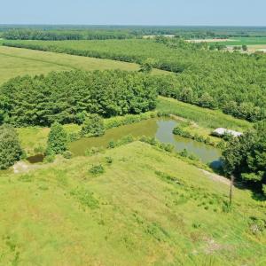 Photo #25 of Off Savage Rd, Corapeak, NC 151.0 acres
