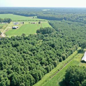 Photo #28 of Off Savage Rd, Corapeak, NC 151.0 acres