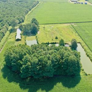 Photo #29 of Off Savage Rd, Corapeak, NC 151.0 acres