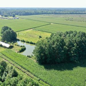 Photo #31 of Off Savage Rd, Corapeak, NC 151.0 acres