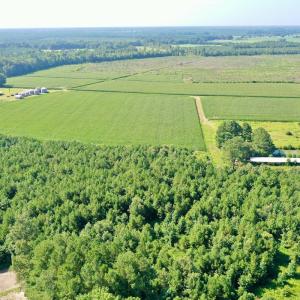 Photo #33 of Off Savage Rd, Corapeak, NC 151.0 acres
