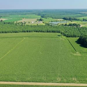 Photo #34 of Off Savage Rd, Corapeak, NC 151.0 acres