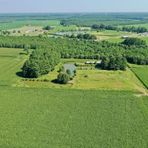 Photo #36 of Off Savage Rd, Corapeak, NC 151.0 acres