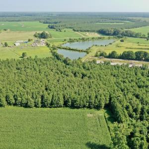 Photo #37 of Off Savage Rd, Corapeak, NC 151.0 acres