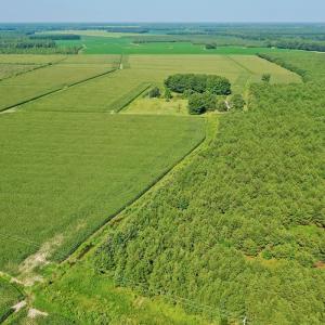Photo #38 of Off Savage Rd, Corapeak, NC 151.0 acres