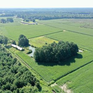 Photo #39 of Off Savage Rd, Corapeak, NC 151.0 acres