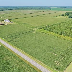 Photo #7 of Off Savage Rd, Corapeak, NC 151.0 acres