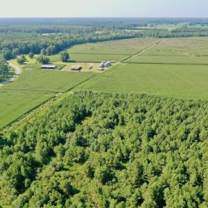 Photo #9 of Off Savage Rd, Corapeak, NC 151.0 acres