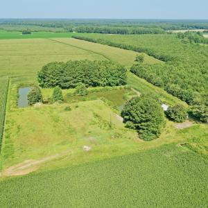 Photo #41 of Off Savage Rd, Corapeak, NC 151.0 acres