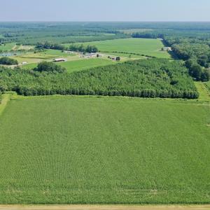 Photo #42 of Off Savage Rd, Corapeak, NC 151.0 acres