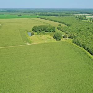 Photo #43 of Off Savage Rd, Corapeak, NC 151.0 acres