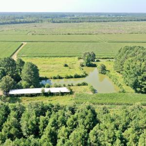 Photo #44 of Off Savage Rd, Corapeak, NC 151.0 acres