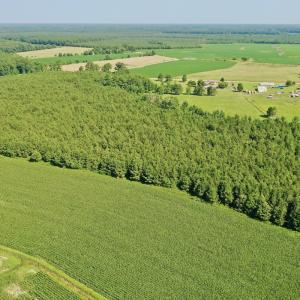 Photo #45 of Off Savage Rd, Corapeak, NC 151.0 acres