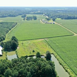 Photo #46 of Off Savage Rd, Corapeak, NC 151.0 acres