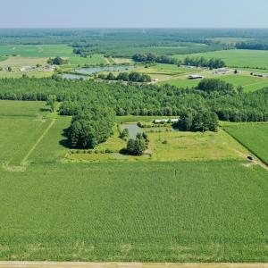 Photo #47 of Off Savage Rd, Corapeak, NC 151.0 acres