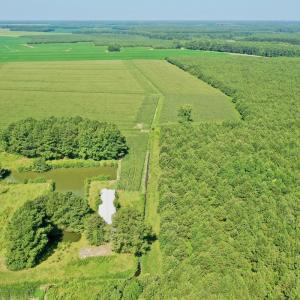 Photo #48 of Off Savage Rd, Corapeak, NC 151.0 acres