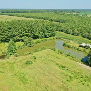 Photo #50 of Off Savage Rd, Corapeak, NC 151.0 acres